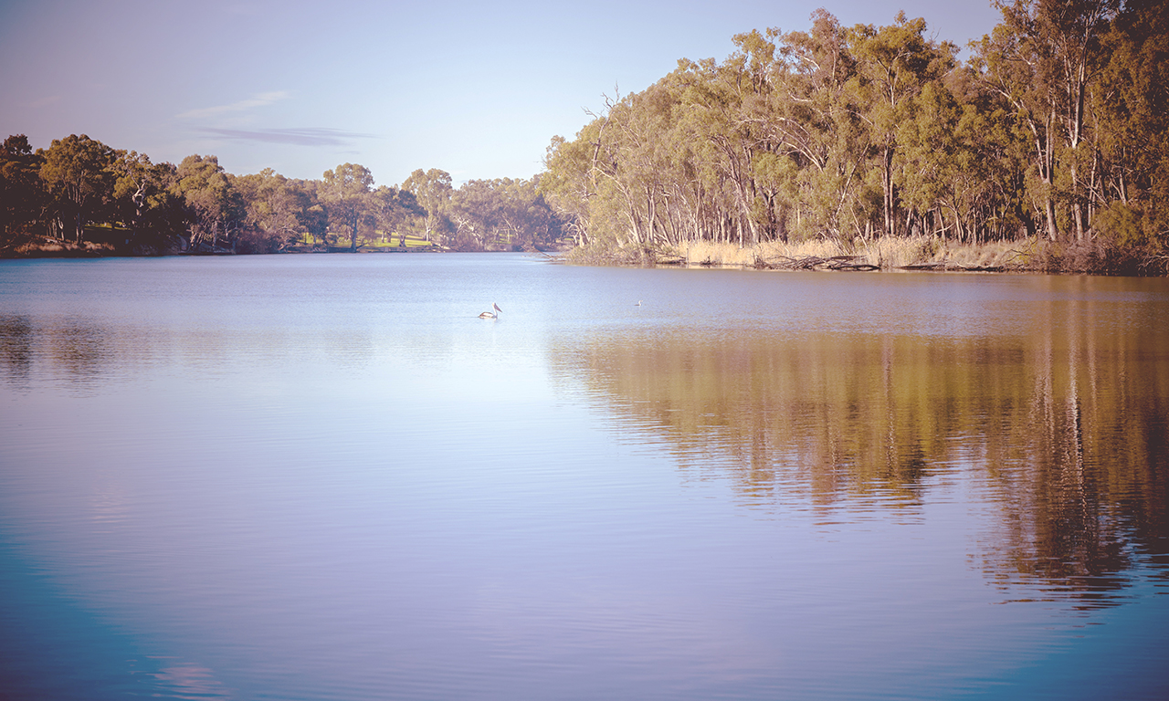Trentham Waters - Fishing the Murray River