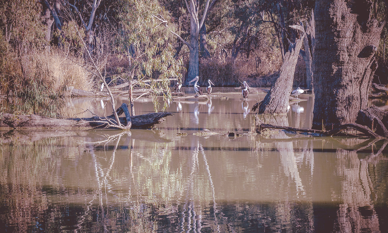 Trentham Waters Resort - Walking trails