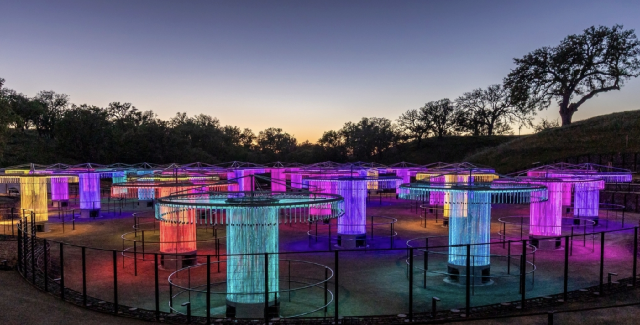 Bruce Munro FOSO